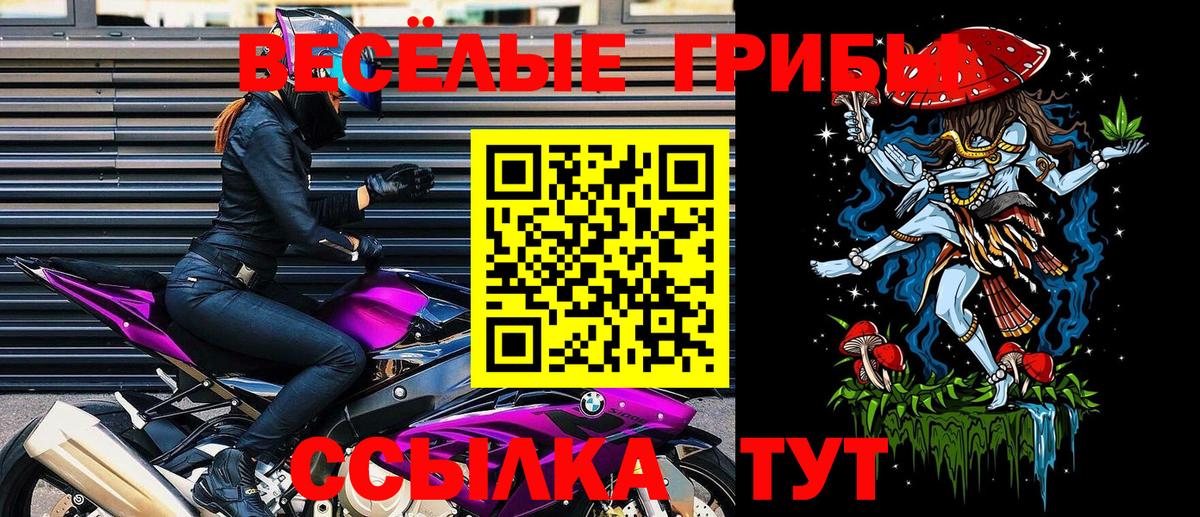 Псилоцибиновые грибы Cubensis Губкин